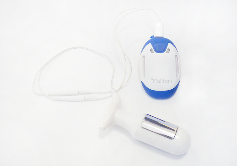 Biofeedback Therapy in Pelvic Organ Rehabilitation
